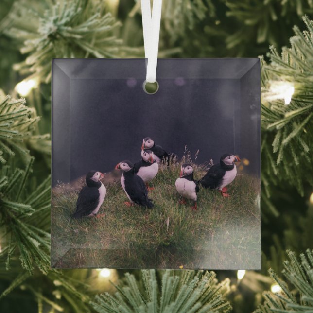 Atlantic Puffins Glass Tree Decoration (Insitu)