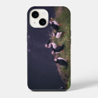 Atlantic Puffins iPhone 14 Case