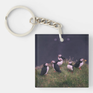 Atlantic Puffins Key Ring