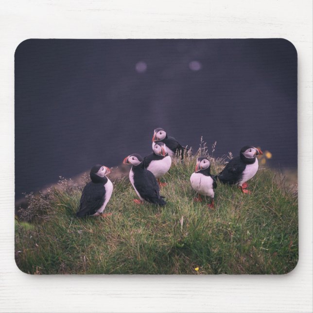 Atlantic Puffins Mouse Pad (Front)