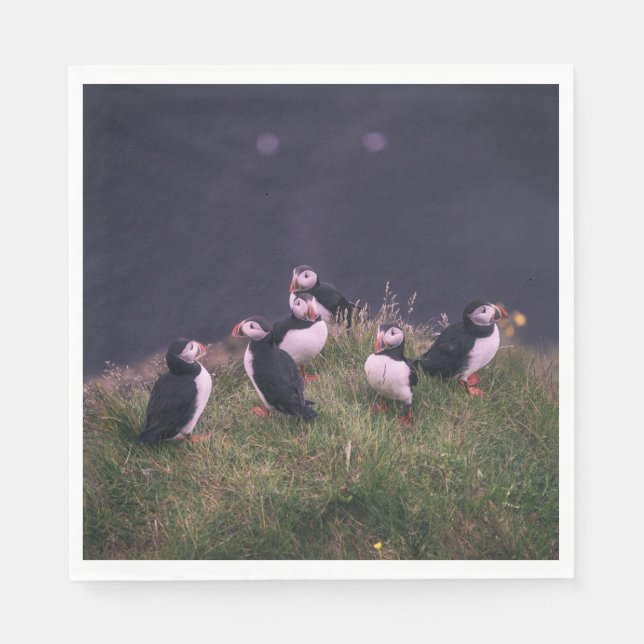 Atlantic Puffins Napkin (Front)