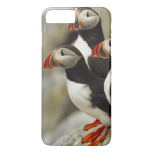 Atlantic Puffins on Machias Seal Island Case-Mate iPhone Case