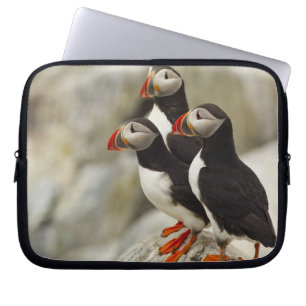 Atlantic Puffins on Machias Seal Island Laptop Sleeve