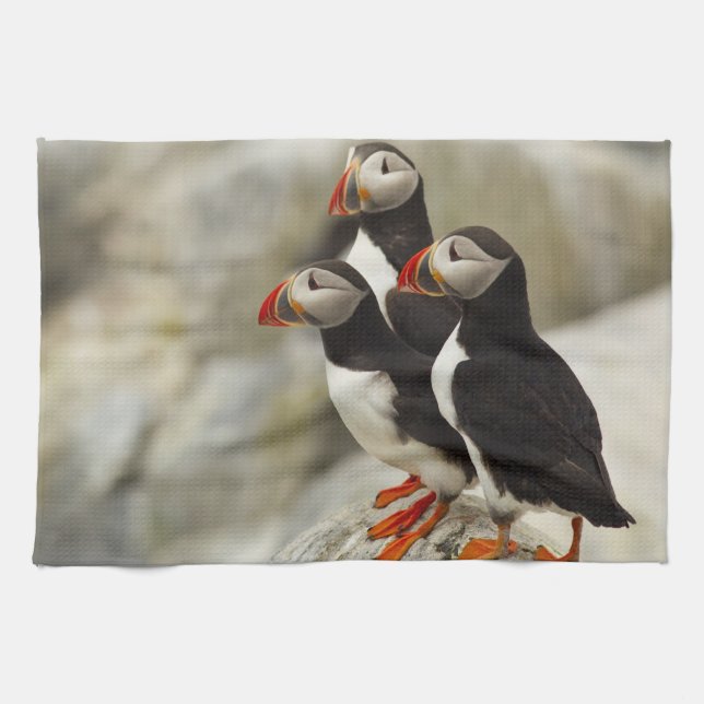 Atlantic Puffins on Machias Seal Island Tea Towel (Horizontal)