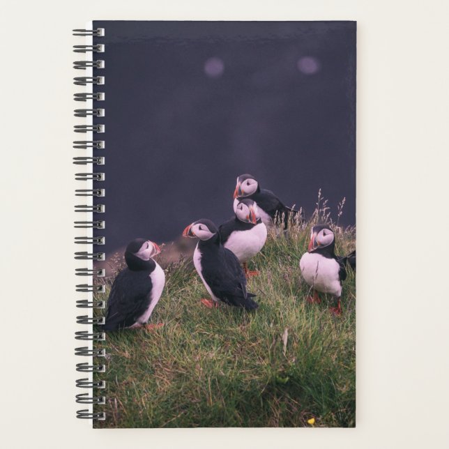 Atlantic Puffins Planner (Front)