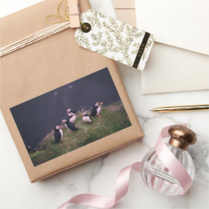 Atlantic Puffins Rectangular Sticker