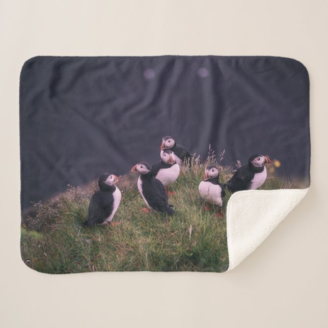 Atlantic Puffins Sherpa Blanket (Front (Horizontal))