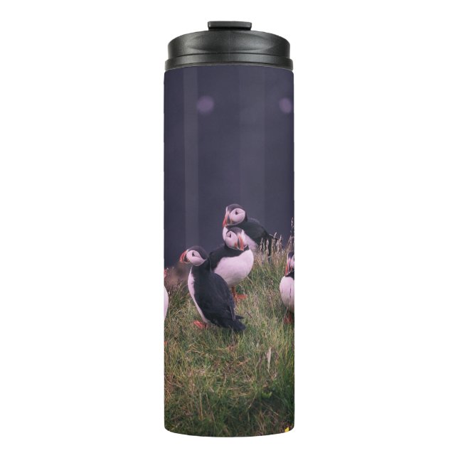 Atlantic Puffins Thermal Tumbler (Front)