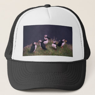 Atlantic Puffins Trucker Hat