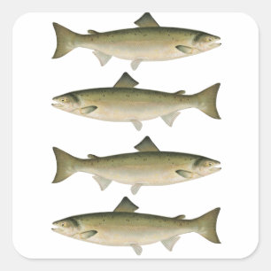 Atlantic Salmon Fishing Adventure Square Sticker