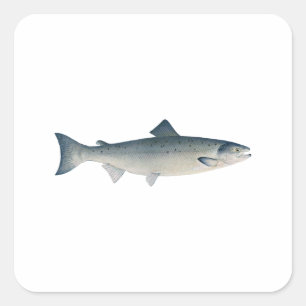 Atlantic Salmon Square Sticker