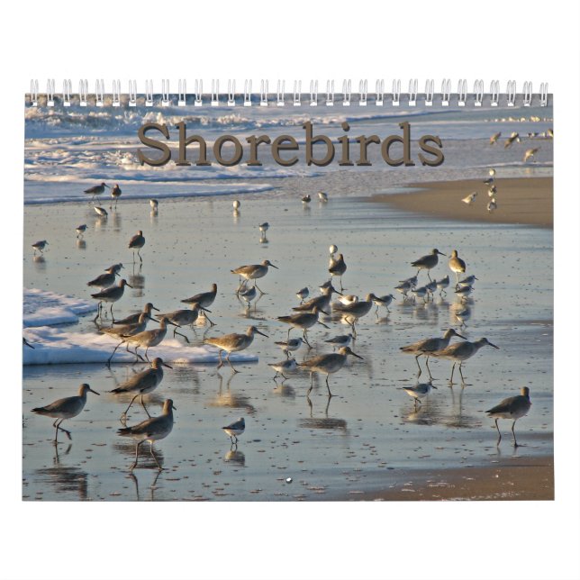 Atlantic Shorebirds Calendar (Cover)