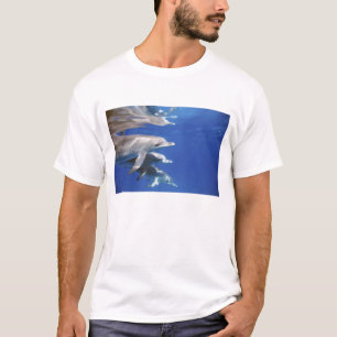 Atlantic spotted dolphins. Bimini, Bahamas T-Shirt