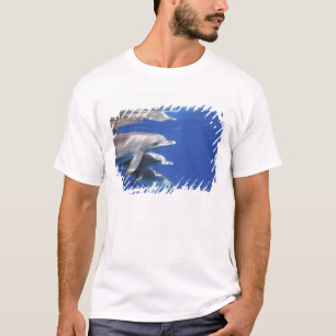 Atlantic spotted dolphins. Bimini, Bahamas T-Shirt