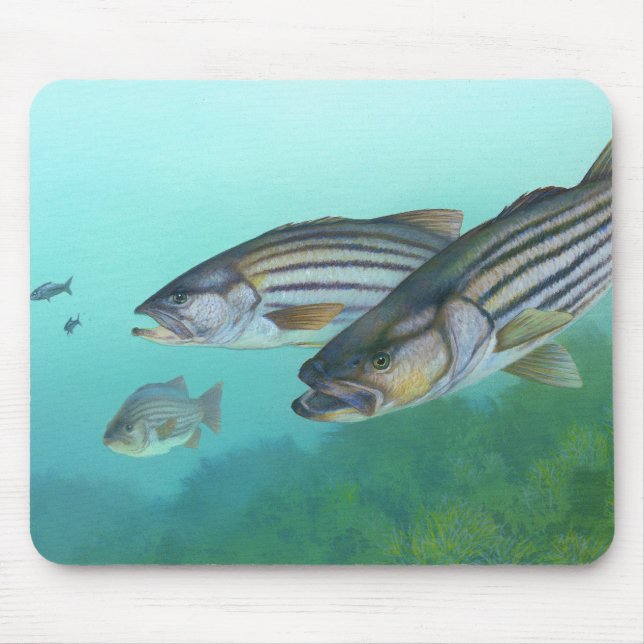 Atlantic Striped Bass Fish Morone Saxatilis Mouse Pad (Front)