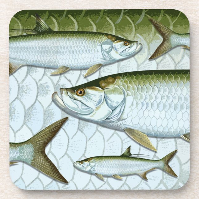 Atlantic Tarpon Coasters (Front)