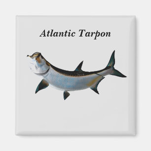 Atlantic Tarpon Magnet