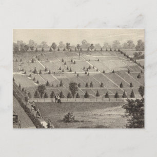 Atlantic View Cemetery, Squan Village, NJ Postcard