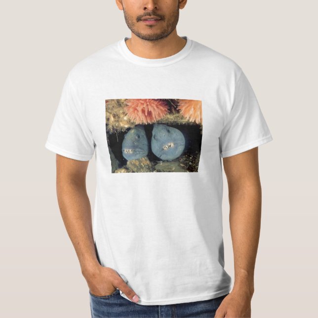 Atlantic Wolffish T-Shirt (Front)