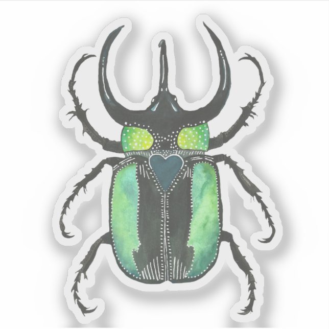 Atlas Beetle Love Bug (Front)