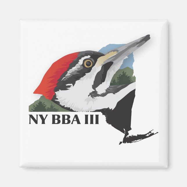 Atlas Magnet (Front)