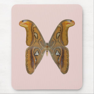 Atlas Moth Mouse Pad