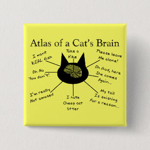 Atlas Of a Cat's Brain 15 Cm Square Badge