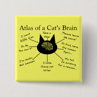 Atlas Of a Cat's Brain 15 Cm Square Badge