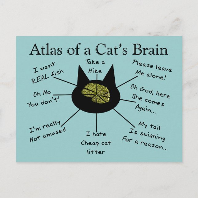 Atlas Of a Cat's Brain Postcard (Front)