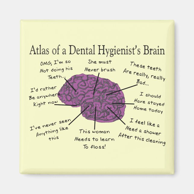 Atlas of a Dental Hygienist's Brain Magnet (Front)