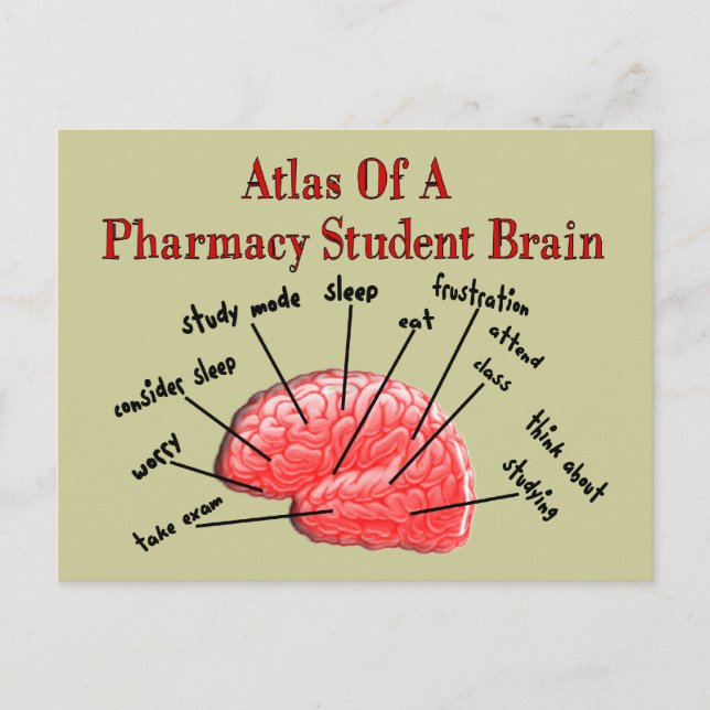Atlas of a Pharmacy Student Brain Postcard (Front)