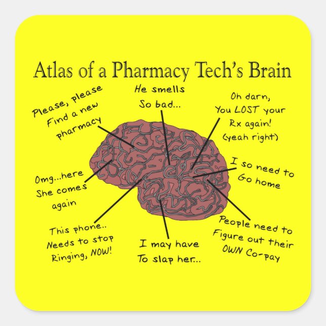 Atlas of a Pharmacy Tech's Brain Square Sticker (Front)