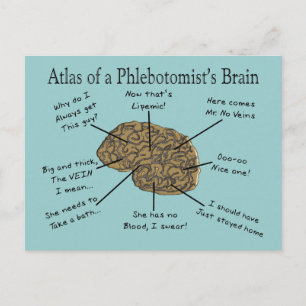 Atlas of a Phlebotomist's Brain Postcard