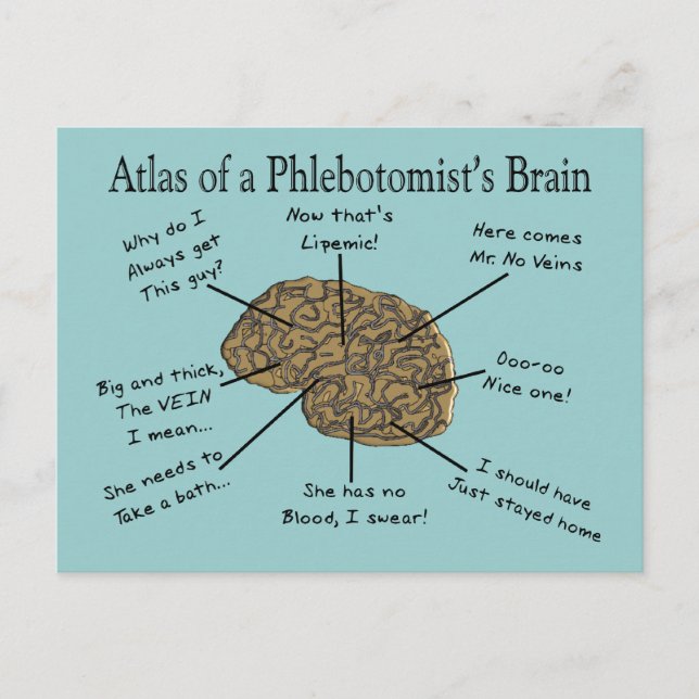 Atlas of a Phlebotomist's Brain Postcard (Front)