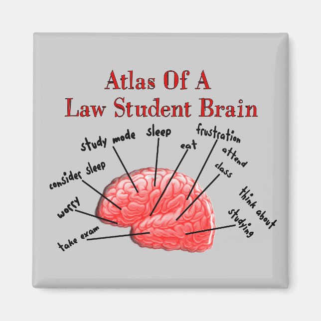 Atlas of Law Student Brain Magnet (Front)