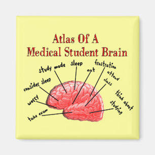 Atlas of Medical Student Brain Magnet