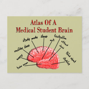Atlas of Medical Student Brain Postcard