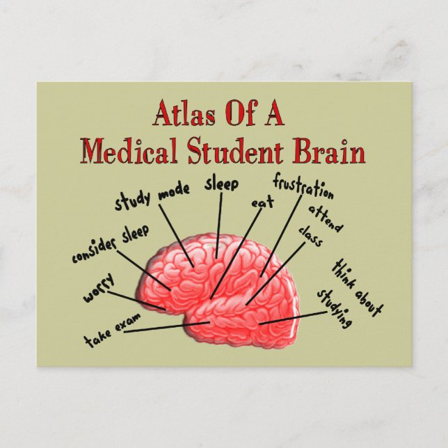 Atlas of Medical Student Brain Postcard (Front)