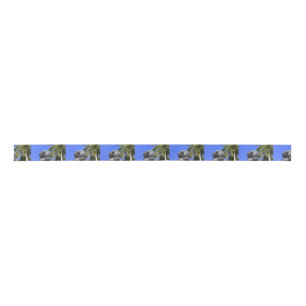 Atlas Satin Ribbon