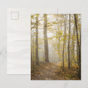 Atmospheric Autumn Park in Mist Postcard