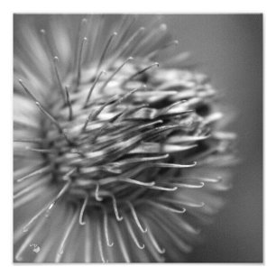 attached - Premium photo printing satin black and  Print