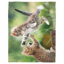 ATTACK KITTEN