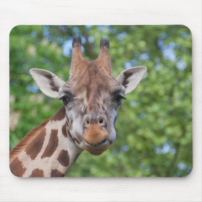 Attentive Giraffe Mouse Pad (Front)