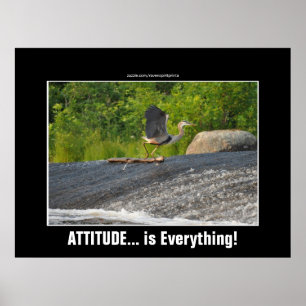 ATTITUDE IS EVERYTHING Great Blue Heron & Falls Poster