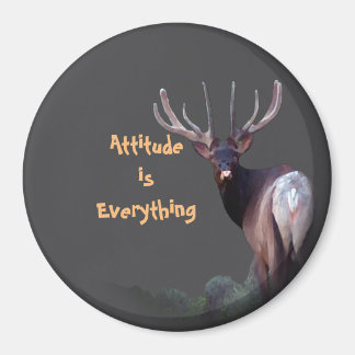 Attitude is Everything Magnet