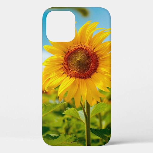 Attractive field with bright yellow sunflowers clo Case-Mate iPhone case (Back)