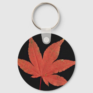Attractive Japanese maple leaf Key Ring