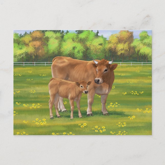 Aubrac Cow & Cute Calf in Spring Pasture Postcard (Front)