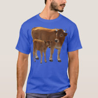 Aubrac or Jersey Brown Cow  Cute Calf Cattle Ranch