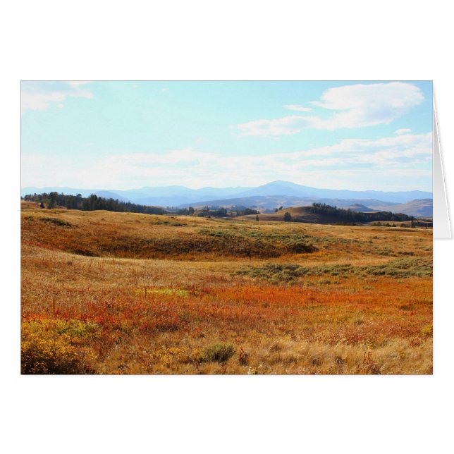 Auburn Yellowstone countryside (Front Horizontal)